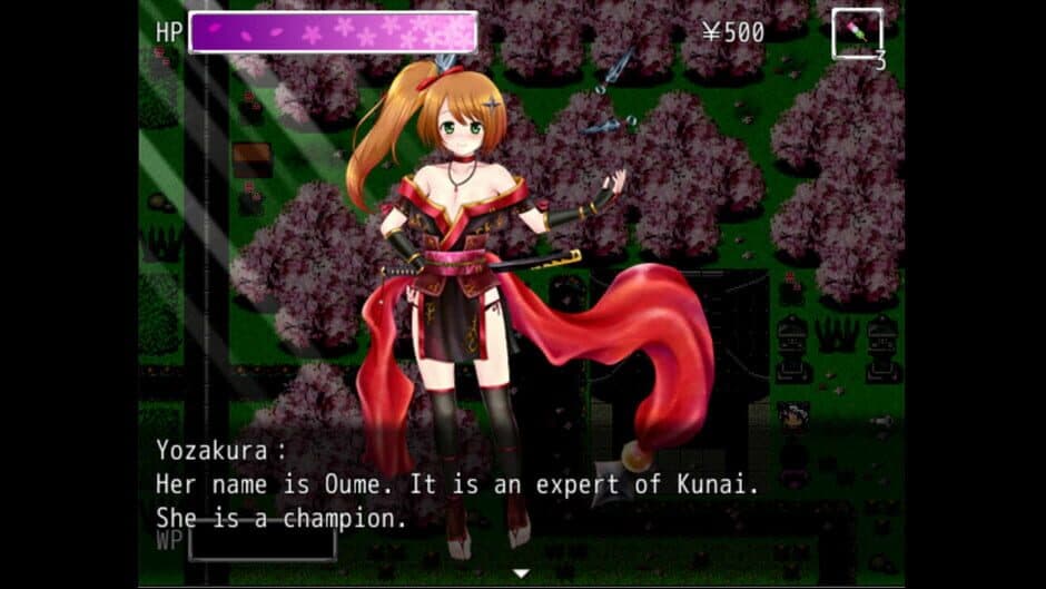Скриншот 6 из Kunoichi Ninja