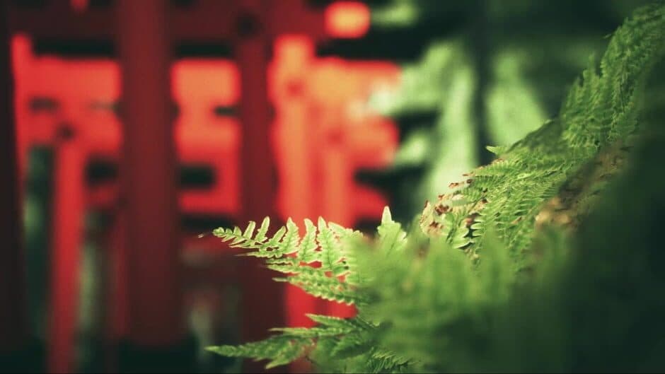Скриншот 10 из Explore Fushimi Inari