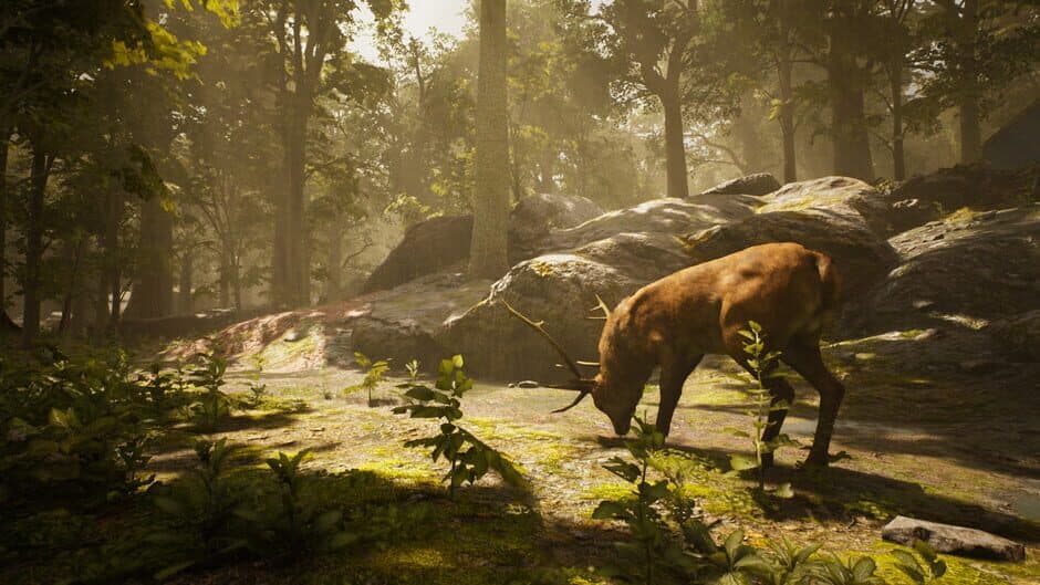 Скриншот 1 из Trapper Simulator
