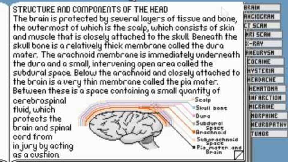 Скриншот 4 из Life & Death II: The Brain
