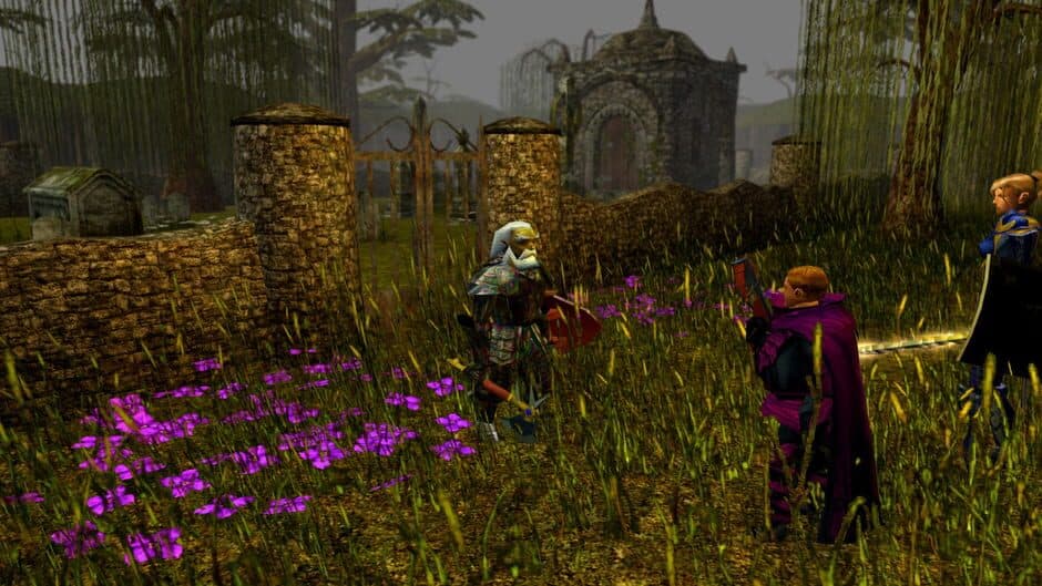 Скриншот 8 из Neverwinter Nights: Darkness Over Daggerford