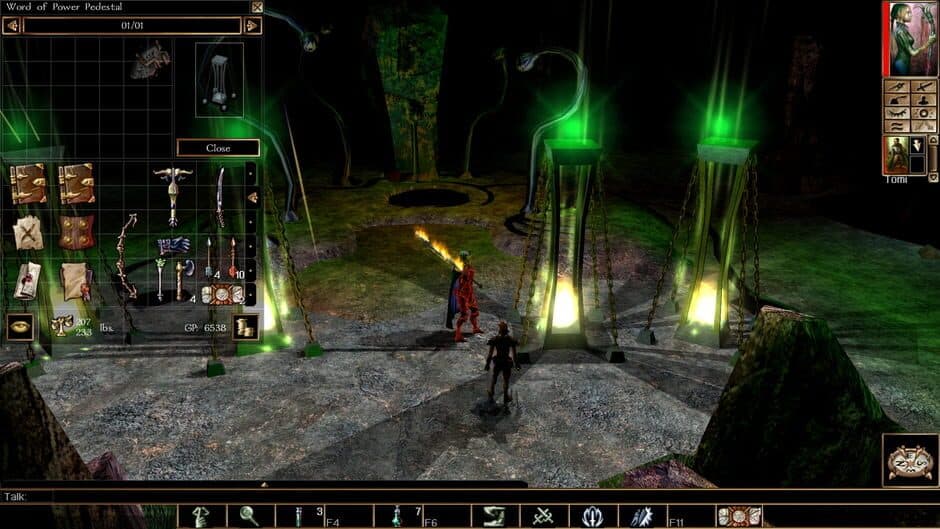Скриншот 9 из Neverwinter Nights: Enhanced Edition