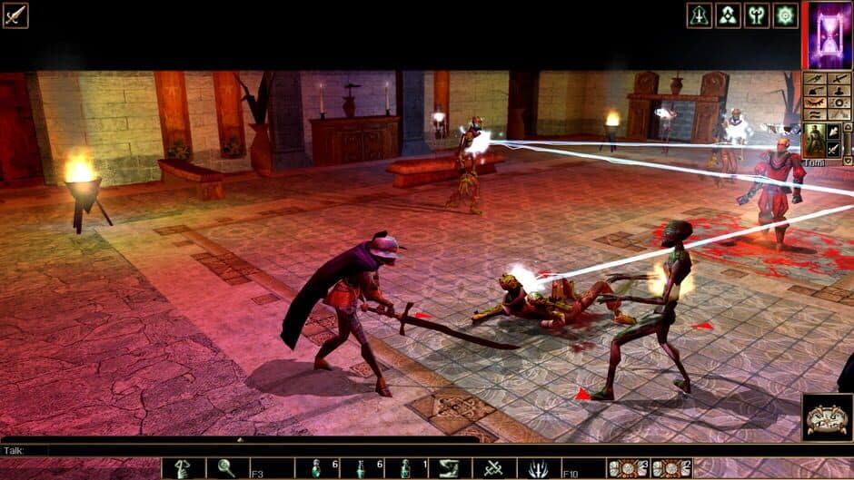 Скриншот 8 из Neverwinter Nights: Enhanced Edition