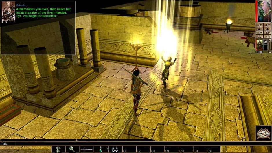 Скриншот 1 из Neverwinter Nights: Enhanced Edition