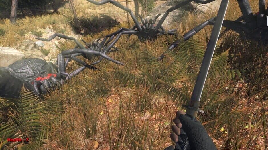 Скриншот 1 из Forest spiders