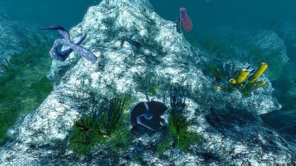 Скриншот 4 из Ecosystem