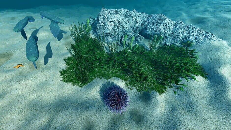 Скриншот 1 из Ecosystem