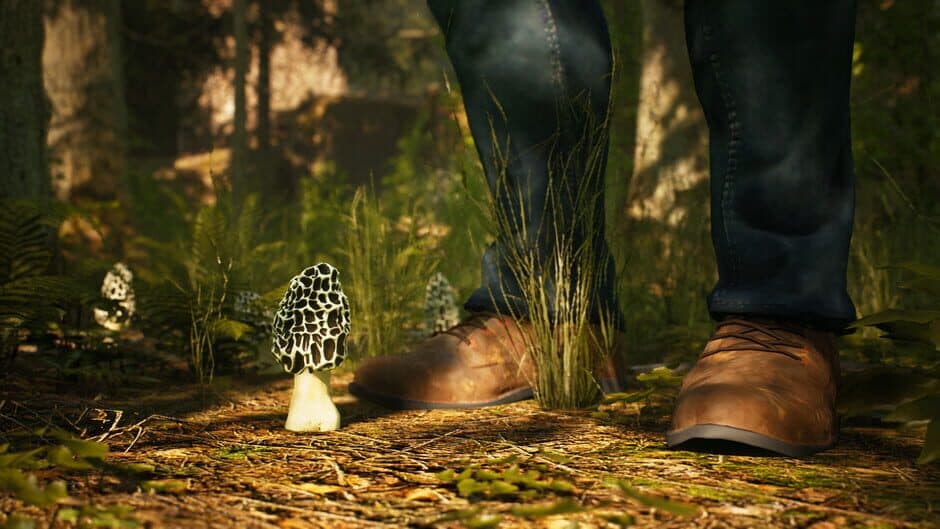Скриншот 3 из Morels: The Hunt