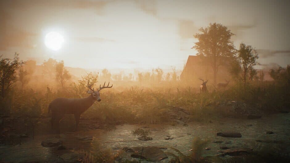Скриншот 4 из Morels: The Hunt