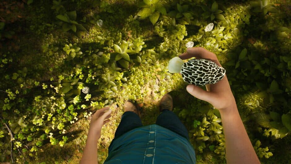 Скриншот 1 из Morels: The Hunt