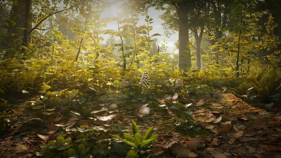 Скриншот 12 из Morels: The Hunt