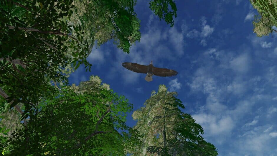 Скриншот 5 из Safari Grounds - The Wilpattu Leopard