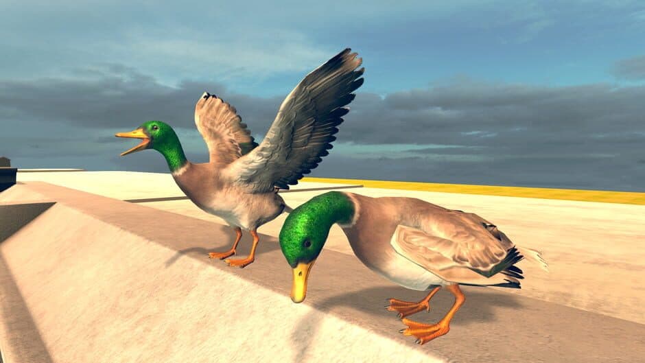 Скриншот 1 из Bird Simulator