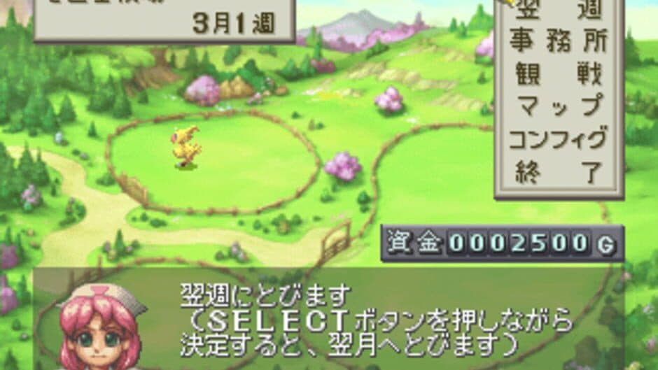 Скриншот 2 из Chocobo Stallion