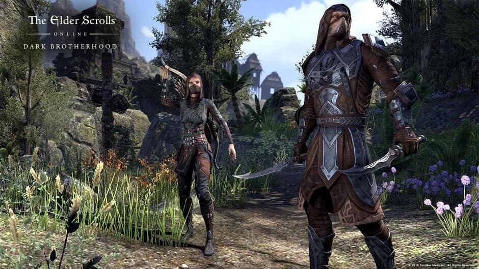 Скриншот 3 из The Elder Scrolls Online: Dark Brotherhood