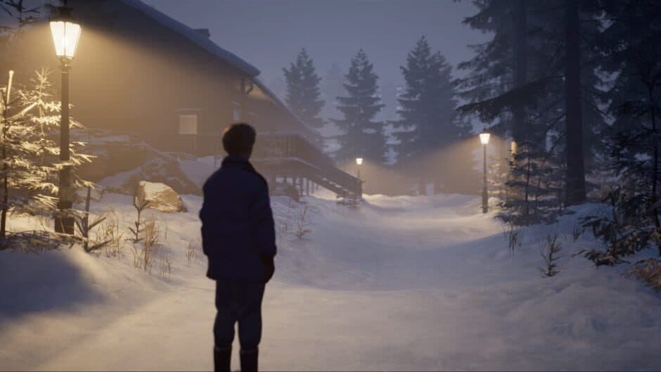 Скриншот 5 из Last Days of Snow