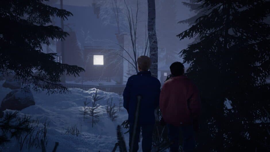 Скриншот 8 из Last Days of Snow