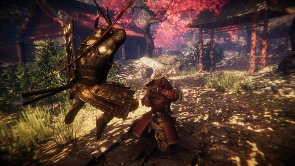 Скриншот 2 из Samurai: Ronin's Path