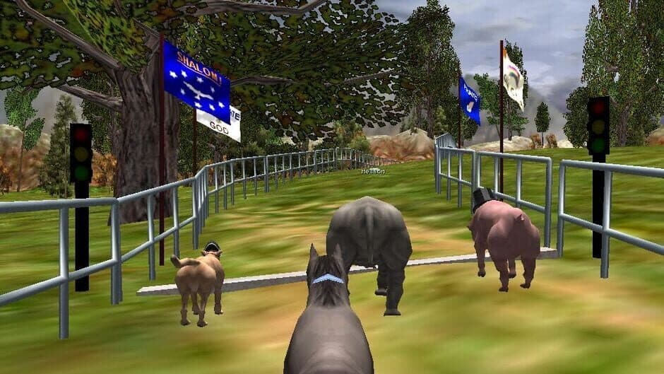 Скриншот 1 из The Zoo Race