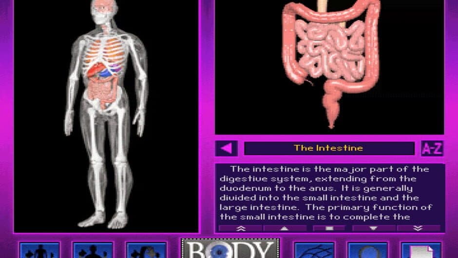 Скриншот 3 из 3-D Body Adventure