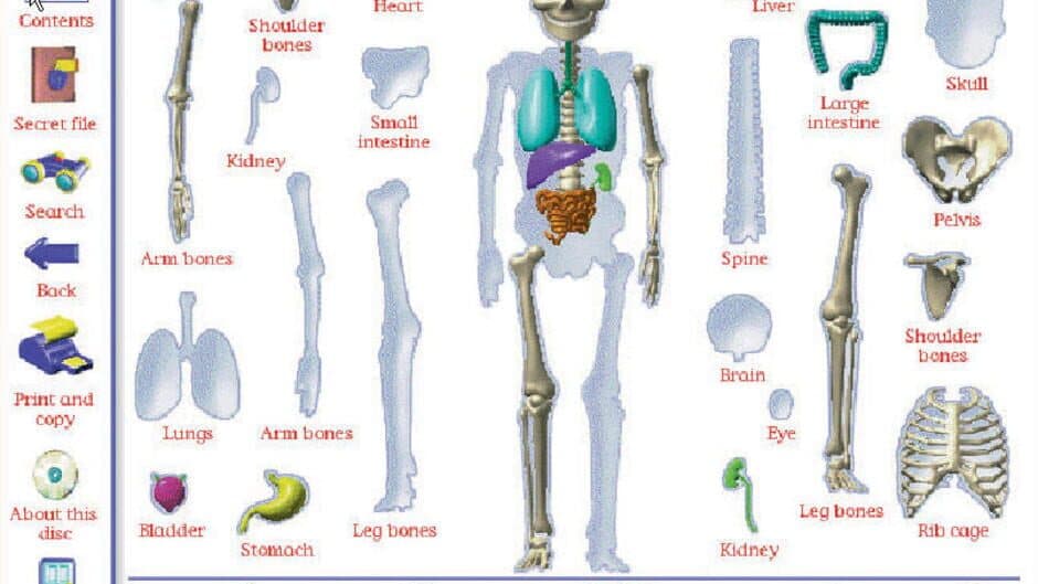 Скриншот 4 из My Amazing Human Body