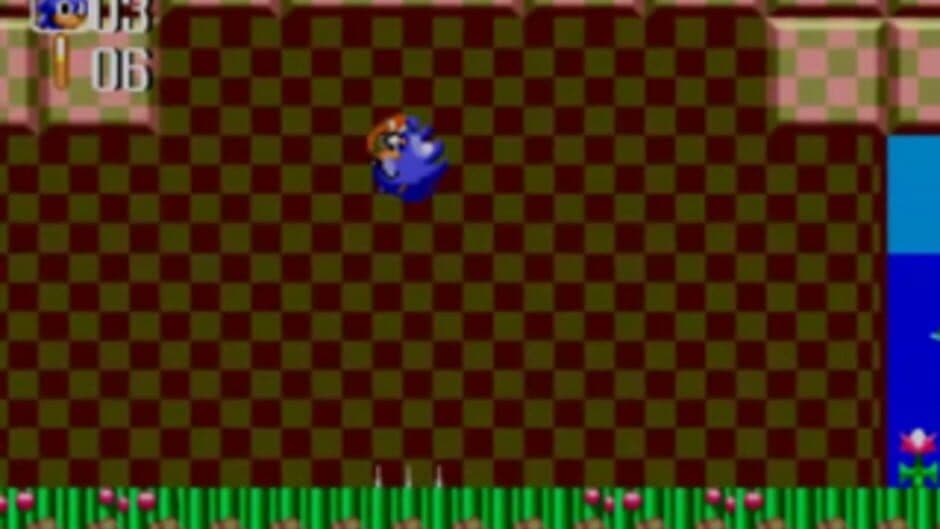 Скриншот 9 из Sonic the Hedgehog Chaos