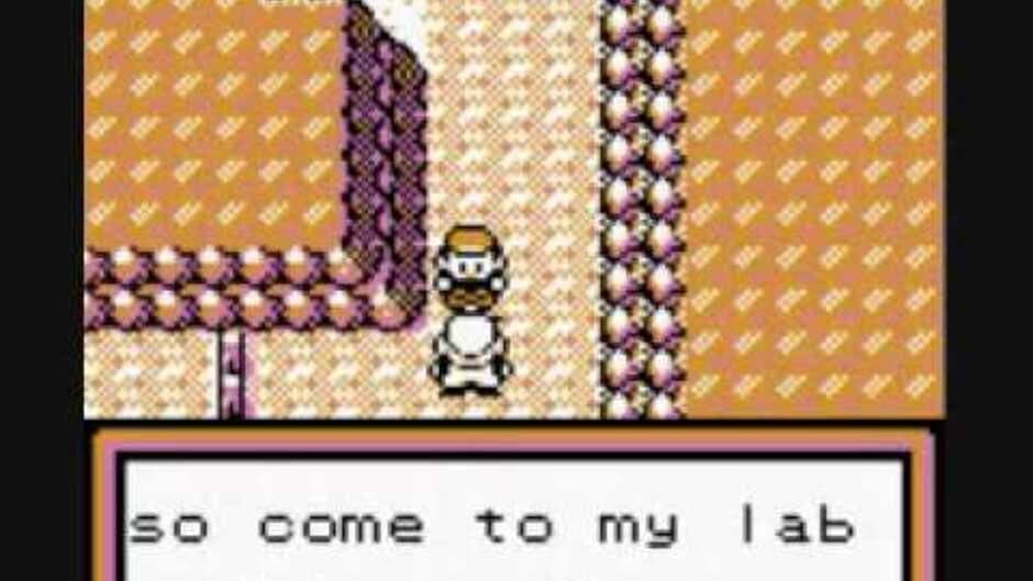 Скриншот 3 из Pokémon Brown