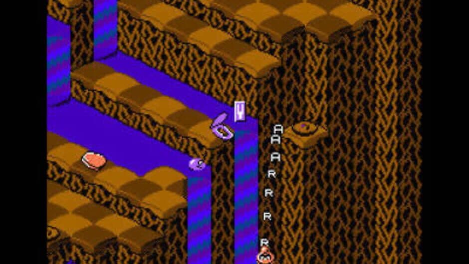 Скриншот 1 из Snake Rattle 'n' Roll