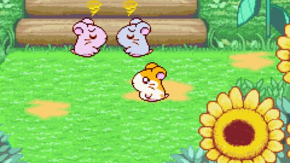 Скриншот 8 из Hamtaro: Ham-Ham Heartbreak