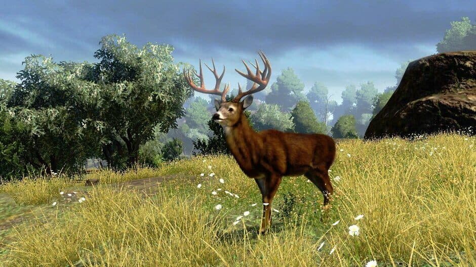 Скриншот 2 из Cabela's Outdoor Adventures