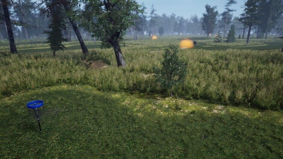 Скриншот 1 из Ultimate Disc Golf