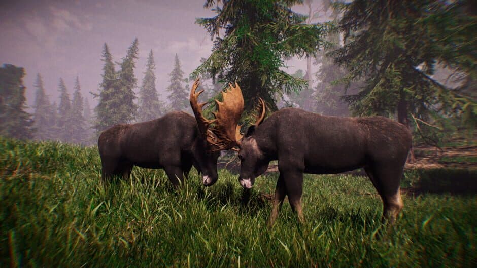 Скриншот 2 из Primitive Hunter