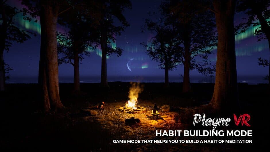 Скриншот 3 из PLAYNE VR