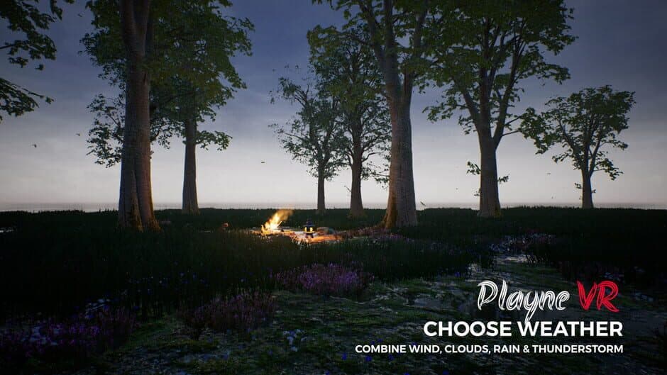 Скриншот 4 из PLAYNE VR
