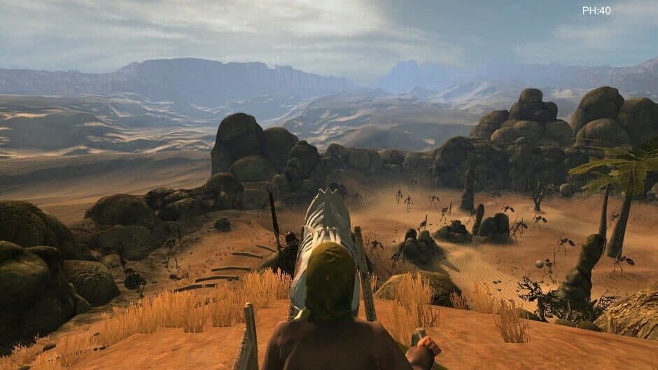 Скриншот 1 из Desert coachman