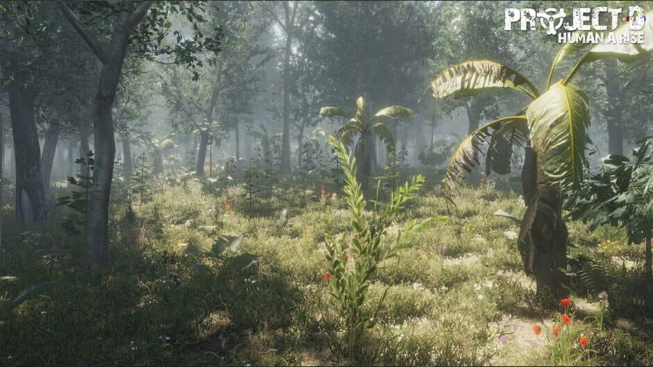 Скриншот 9 из Project D: Human Risen