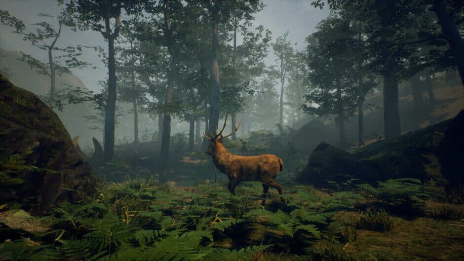 Скриншот 4 из Folklore Hunter