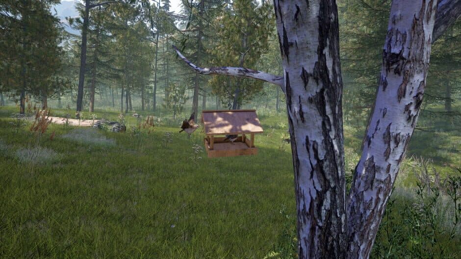 Скриншот 10 из Forest Ranger Simulator