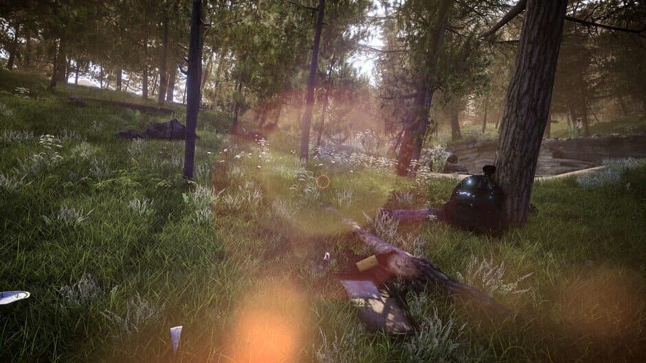 Скриншот 9 из Forest Ranger Simulator