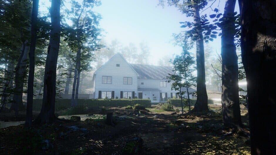 Скриншот 2 из The House in the Forest