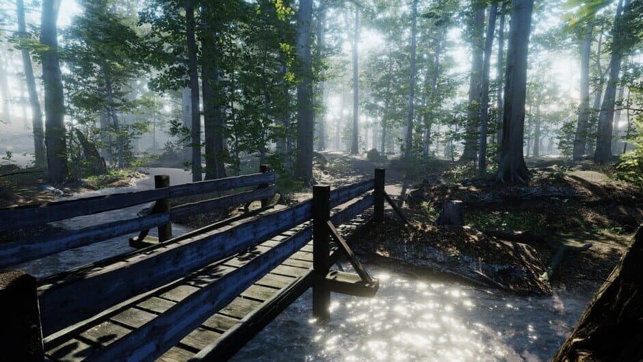 Скриншот 1 из The House in the Forest