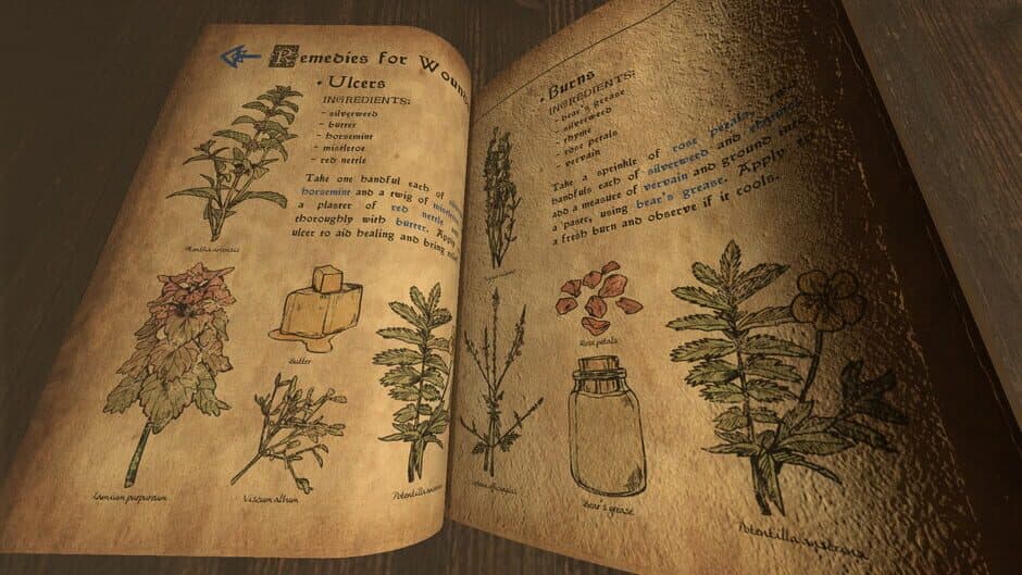 Скриншот 3 из Volkhv: Memoir of the Witch Doctor