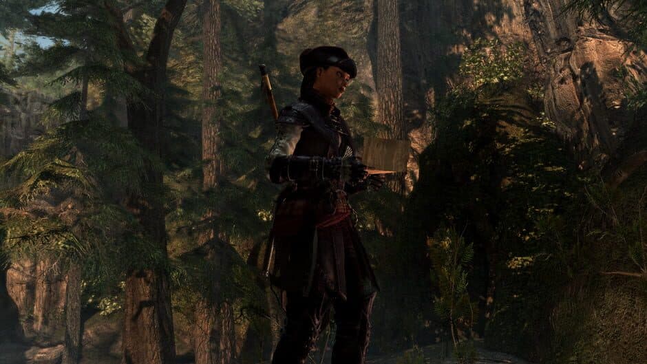 Скриншот 1 из Assassin's Creed IV Black Flag: Aveline
