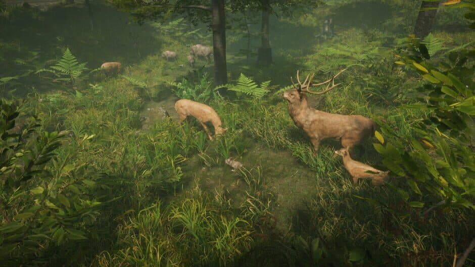 Скриншот 3 из Natural Instincts