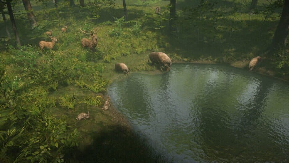 Скриншот 4 из Natural Instincts