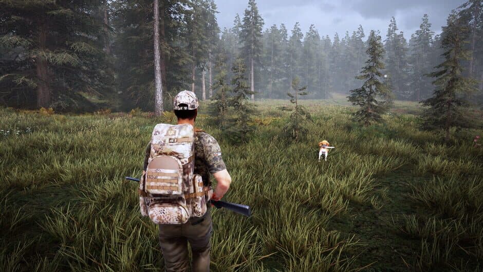 Скриншот 3 из Hunting Simulator 2