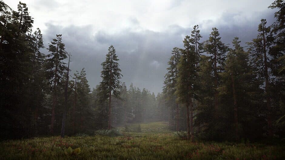 Скриншот 1 из Hunting Simulator 2
