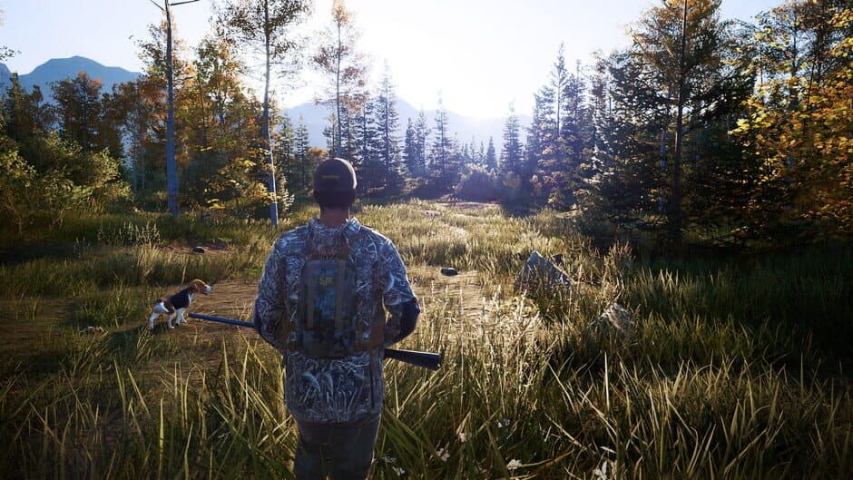 Скриншот 5 из Hunting Simulator 2