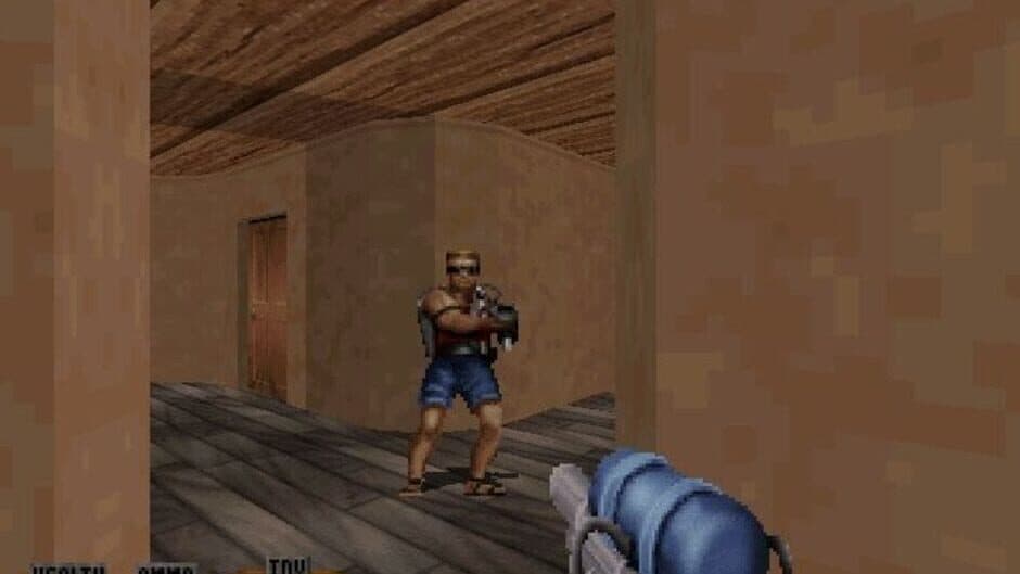 Скриншот 5 из Duke Caribbean: Life's a Beach