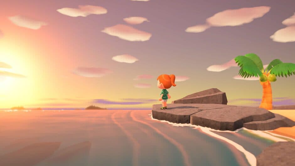 Скриншот 9 из Animal Crossing: New Horizons